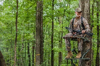 Bowhunter Sitting in Treestand 