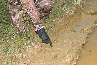 Blood Trail and Tracks From Recent Deer