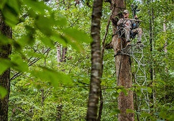 Hunter Sitting in Ladder Stand 