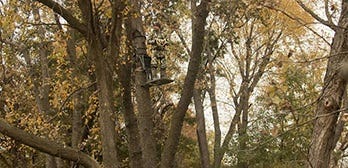 Hunter Standing in Tree Stand 