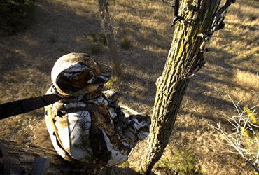 Man Hunting in Treestand with Saftey Harness 