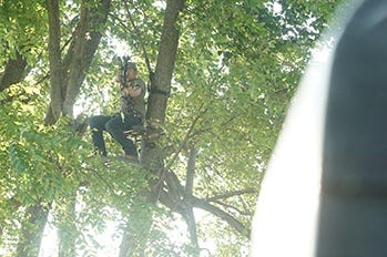 archery practice from a treestand