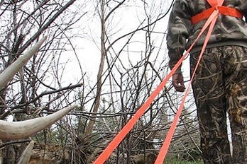 Hunter Dragging Harvested Buck