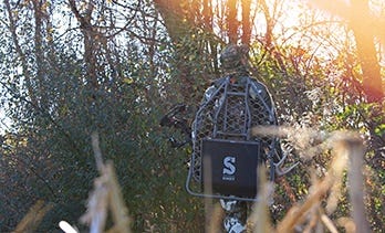 Hunter Walking Through Woods to Find Tree Stand Location 