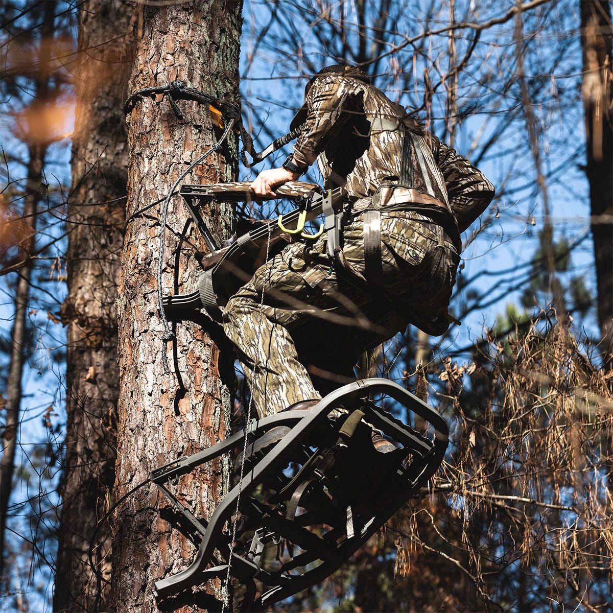 View looking up at a man ascending a tree using the Summit Dual Threat PRO SD climbing treestand.