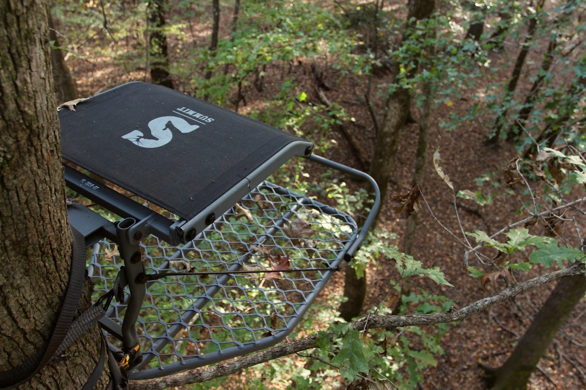 Choose Right Treestand