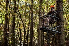 sit-down-stand-up climbers