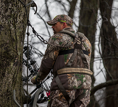 Harness on the Back of a Hunter