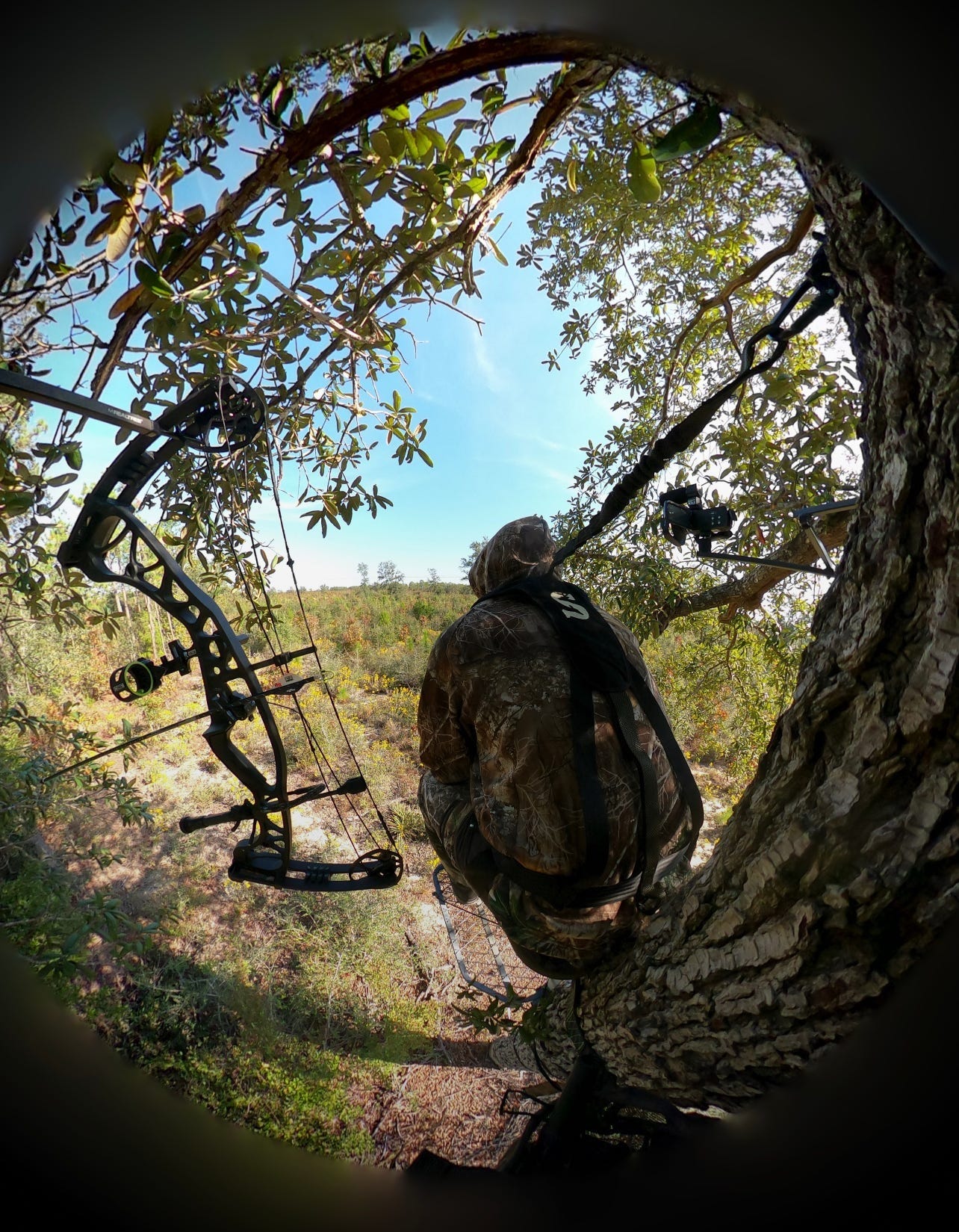 Photo from Josh R. of a man wearing a Summit harness and seated on a Summit hang-on stand. His bow is hanging next to him.